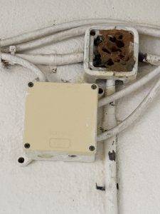 Keine Kunst, aber auch irgendwie kunstvoll - Wespennest in Verteiler