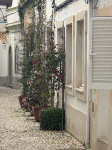 Blumen wachsen hier aus den kleinsten Ritzen