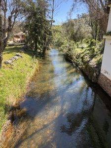 Ob der Bach im Sommer auch Wasser führt?
