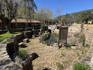 Sehr einladend zum Füße abkühlen