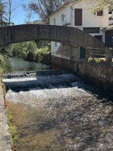 Über diese Brücke musst Du geh‘n