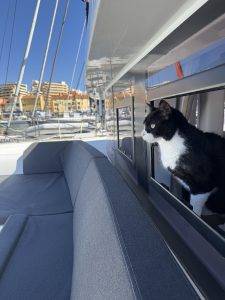 Lucky erkundet erstmalig !!! das Frontcockpit