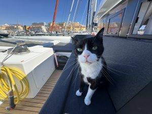 Und das gehört auch alles noch mir?!