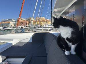 Ganz schön viel zu gucken