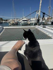 Kann man da auch drauf?