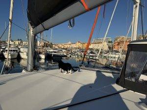 Und direkt wird auch noch das Dach erkundet