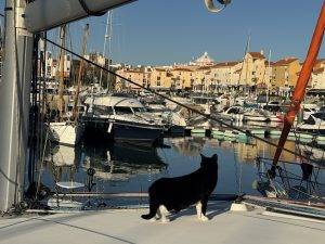 Völlig neue Aussicht für Lucky