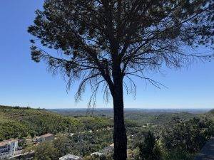 Noch ein Ausflug in die Berge