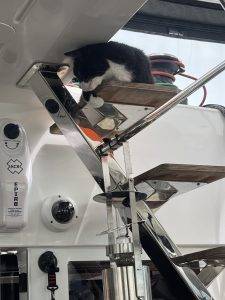 Riecht lecker, aber wie komme ich da ran?!