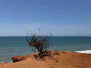 IMG_4284 Weitblick