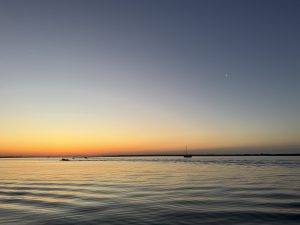 IMG_4370 Guten Morgen!