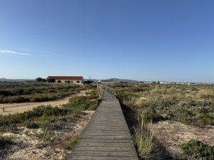 Bohlenweg zum Strand