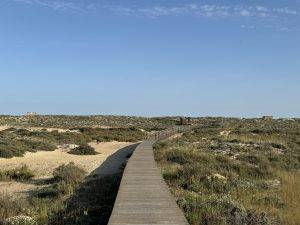 Wir laufen zur Seeseite