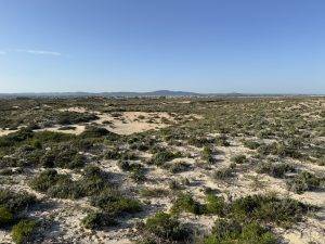 Karge Dühnenlandschaft