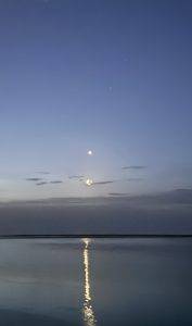 IMG_4419 Smiley-Mond