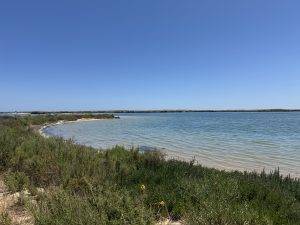 Fast schon karibisch anmutend