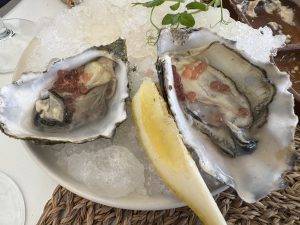 Austern, frisch aus dem Ría Formosa