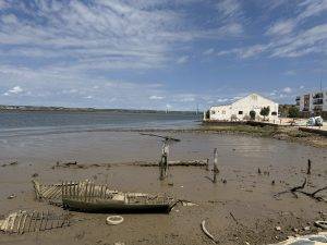 Das Niedrigwasser offenbart so Einiges