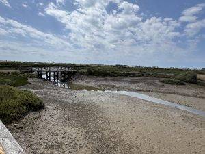 Auch hier - Niedrigwasser