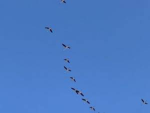 Auf dem Weg zu den Salinen