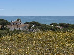 Ja, auch hier kann man es aushalten