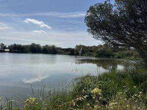 IMG_4544 Lagunas de la Mujer