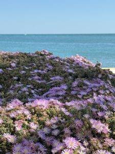 IMG_4581 Blick aufs Meer