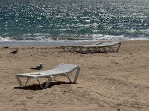 Auch hier - nicht viel los