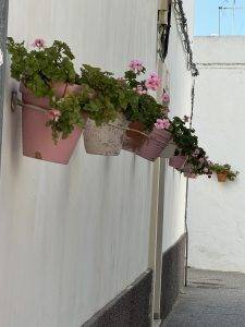 Überall Blumen an den Häusern