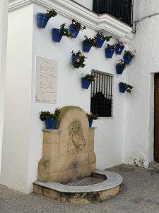 Wer die wohl gießt?!