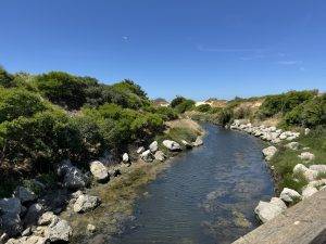 IMG_4622 Bachlauf zum Strand