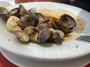 IMG_4625 Muscheln