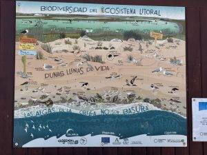 Nette Infotafel am Strand