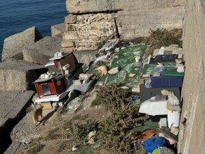 Die Katzen wohnen auf den Kaianlagen