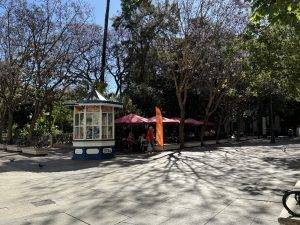 Wir nehmen diese am Plaza de Mina