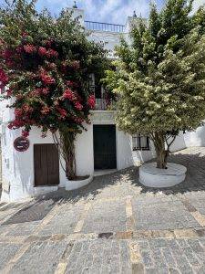 Blütenpracht auf engstem Raum