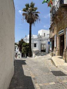 Sogar große Palmen wachsen hier aus dem Nichts