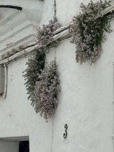 Hier blüht sogar die Stromleitung