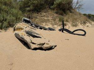 Wrack am Strand