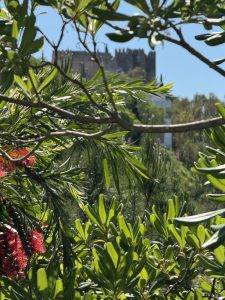 Ausflug nach Arcos de la Frontera