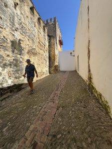 Bergziege oder Segelbär?