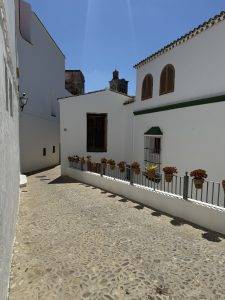 Auch in Arcos viele Blumen