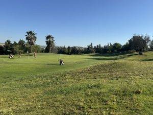 Golfplatz mit Palmen und Spielern Schön angelegter Platz