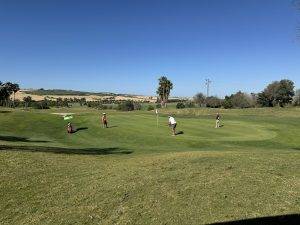 Dank Regen im Frühjahr noch sehr grün