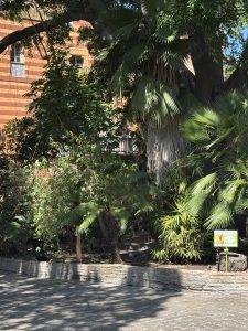 Palacio de Orleans-Borbón