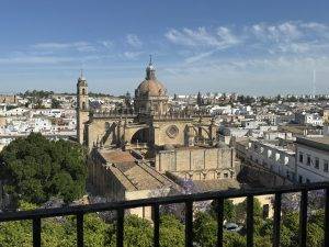 Blick auf die Kathedrale