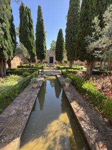 Gepflegter Garten mit Wasserbecken Ein Ort zum Verweilen