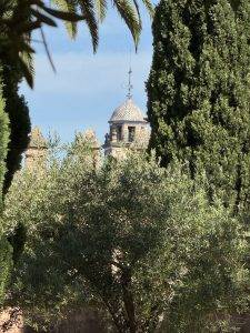 Blick durch die Bäume