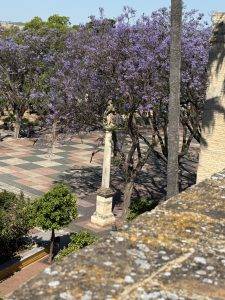 Platz mit Säule und violetten Blütenbäumen Vor den Toren blühen Jacaranda Bäume