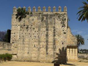 In der Mauer nisten dutzende vögel